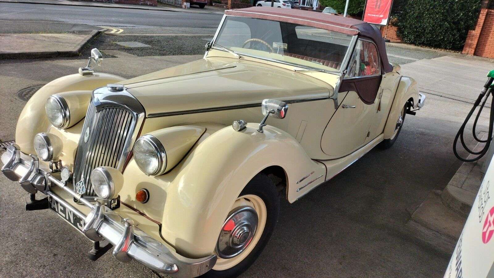 classic riley for sales