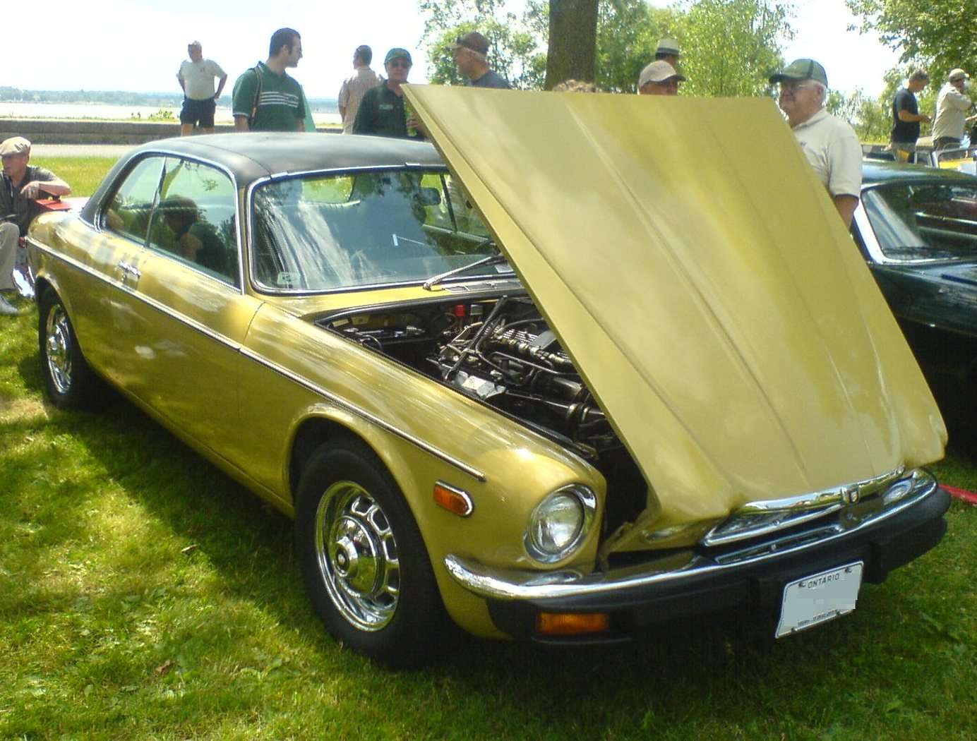 1977 Jaguar XJ6 coupe