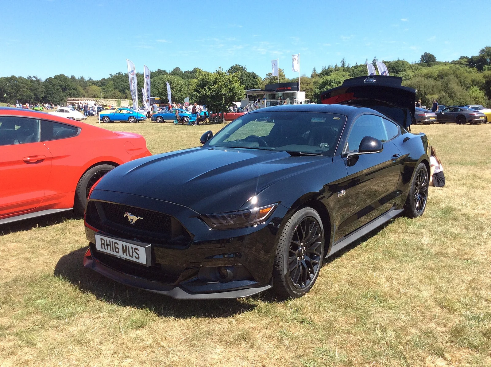 Ford Mustang S550 GT exterior — illustrative model photograph